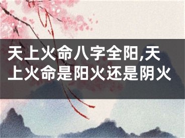 天上火命八字全阳,天上火命是阳火还是阴火