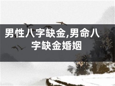 男性八字缺金,男命八字缺金婚姻