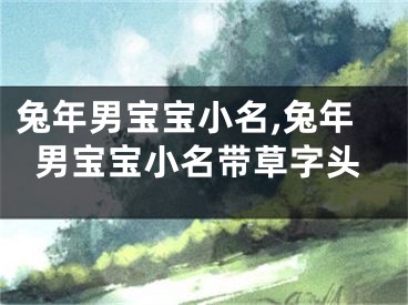 兔年男宝宝小名,兔年男宝宝小名带草字头