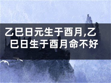 乙巳日元生于酉月,乙巳日生于酉月命不好