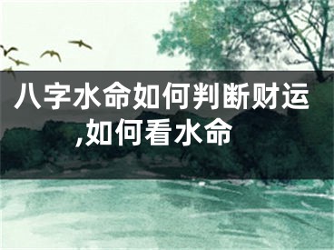八字水命如何判断财运,如何看水命