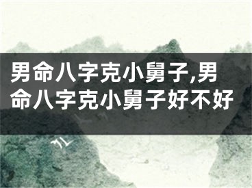 男命八字克小舅子,男命八字克小舅子好不好