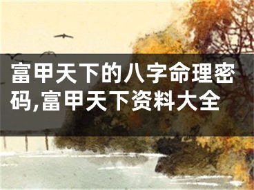 富甲天下的八字命理密码,富甲天下资料大全