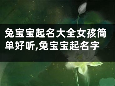兔宝宝起名大全女孩简单好听,兔宝宝起名字