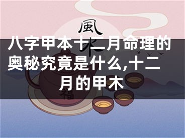 八字甲本十二月命理的奥秘究竟是什么,十二月的甲木