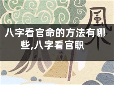 八字看官命的方法有哪些,八字看官职