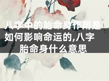 八字中的胎命身作用是如何影响命运的,八字胎命身什么意思