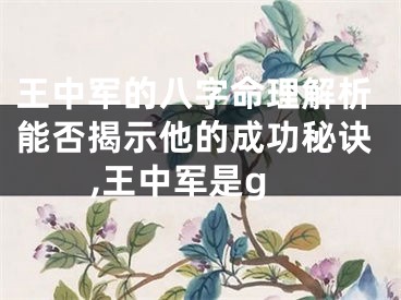 王中军的八字命理解析能否揭示他的成功秘诀,王中军是g