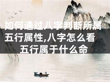 如何通过八字判断所属五行属性,八字怎么看五行属于什么命
