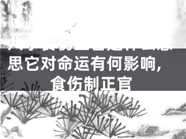 八字食伤正官是什么意思它对命运有何影响,食伤制正官