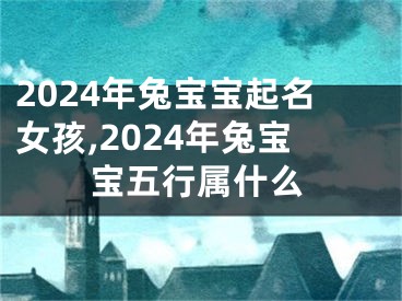 2024年兔宝宝起名女孩,2024年兔宝宝五行属什么