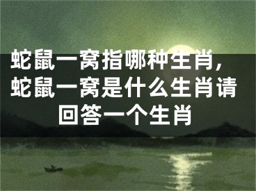 蛇鼠一窝指哪种生肖,蛇鼠一窝是什么生肖请回答一个生肖