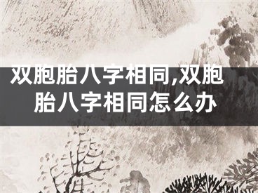 双胞胎八字相同,双胞胎八字相同怎么办