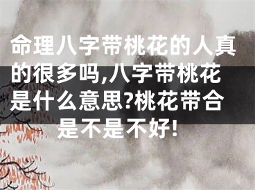 命理八字带桃花的人真的很多吗,八字带桃花是什么意思?桃花带合是不是不好!