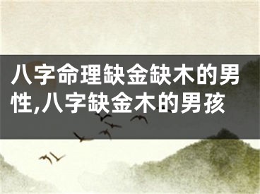 八字命理缺金缺木的男性,八字缺金木的男孩