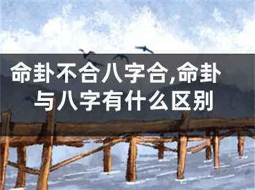 命卦不合八字合,命卦与八字有什么区别
