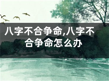 八字不合争命,八字不合争命怎么办