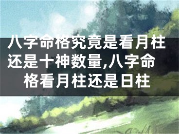 八字命格究竟是看月柱还是十神数量,八字命格看月柱还是日柱