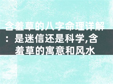 含羞草的八字命理详解：是迷信还是科学,含羞草的寓意和风水