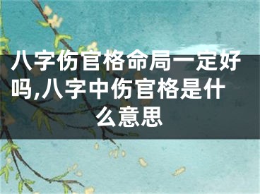 八字伤官格命局一定好吗,八字中伤官格是什么意思