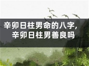辛卯日柱男命的八字,辛卯日柱男善良吗