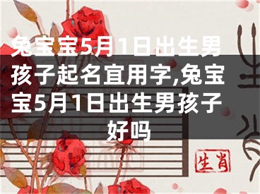 兔宝宝5月1日出生男孩子起名宜用字,兔宝宝5月1日出生男孩子好吗