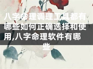 八字命理调理工具都有哪些如何正确选择和使用,八字命理软件有哪些