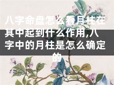 八字命盘怎么看月柱在其中起到什么作用,八字中的月柱是怎么确定的