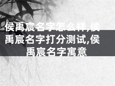 侯禹宸名字怎么样,侯禹宸名字打分测试,侯禹宸名字寓意