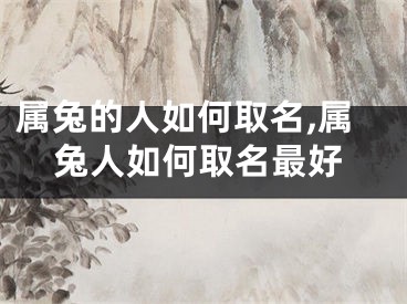 属兔的人如何取名,属兔人如何取名最好