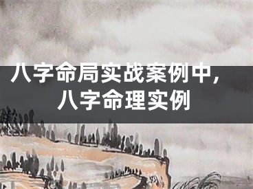 八字命局实战案例中,八字命理实例