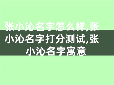 张小沁名字怎么样,张小沁名字打分测试,张小沁名字寓意