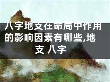 八字地支在命局中作用的影响因素有哪些,地支 八字