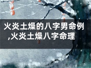火炎土燥的八字男命例,火炎土燥八字命理