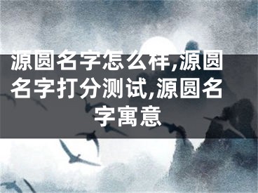 源圆名字怎么样,源圆名字打分测试,源圆名字寓意