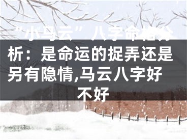 “小马云”八字命格分析：是命运的捉弄还是另有隐情,马云八字好不好