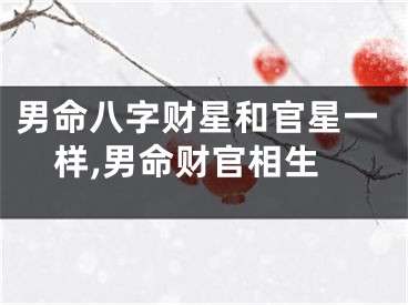 男命八字财星和官星一样,男命财官相生