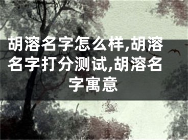 胡溶名字怎么样,胡溶名字打分测试,胡溶名字寓意