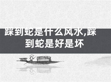 踩到蛇是什么风水,踩到蛇是好是坏