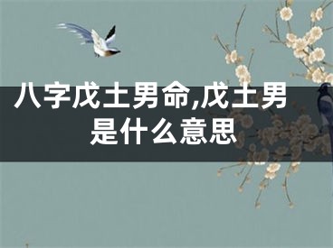 八字戊土男命,戊土男是什么意思