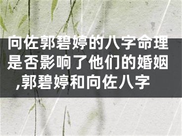 向佐郭碧婷的八字命理是否影响了他们的婚姻,郭碧婷和向佐八字