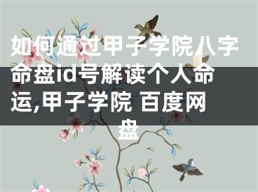 如何通过甲子学院八字命盘id号解读个人命运,甲子学院 百度网盘