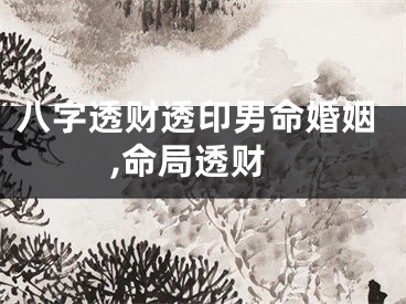 八字透财透印男命婚姻,命局透财