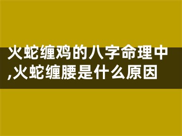 火蛇缠鸡的八字命理中,火蛇缠腰是什么原因