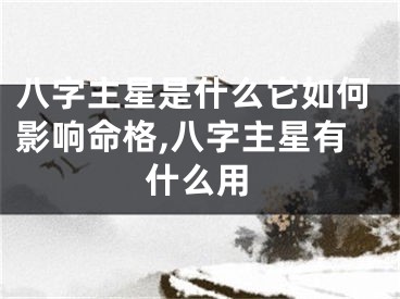 八字主星是什么它如何影响命格,八字主星有什么用