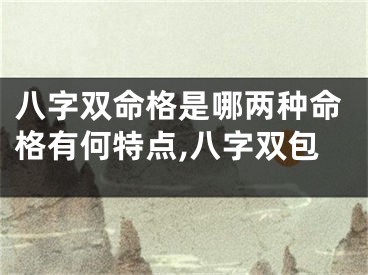 八字双命格是哪两种命格有何特点,八字双包