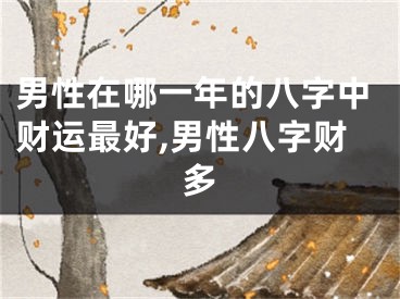 男性在哪一年的八字中财运最好,男性八字财多
