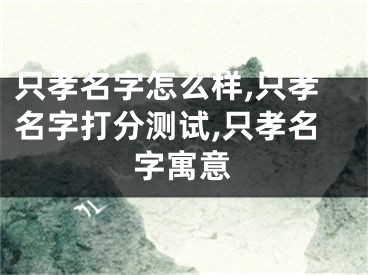 只孝名字怎么样,只孝名字打分测试,只孝名字寓意