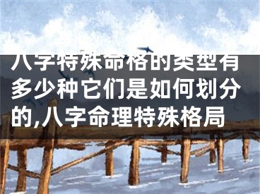 八字特殊命格的类型有多少种它们是如何划分的,八字命理特殊格局