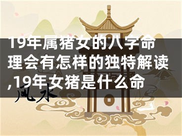 19年属猪女的八字命理会有怎样的独特解读,19年女猪是什么命